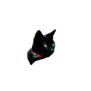 A Black Cat With A Red Collar Relaxing On A Stone Patio Under A Wooden Table. 13266 - Cat PNG image with transparent background